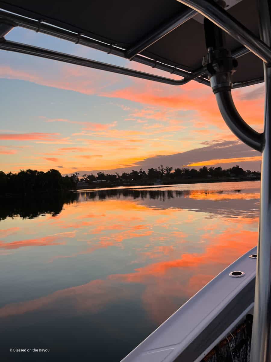 Bayou First Light