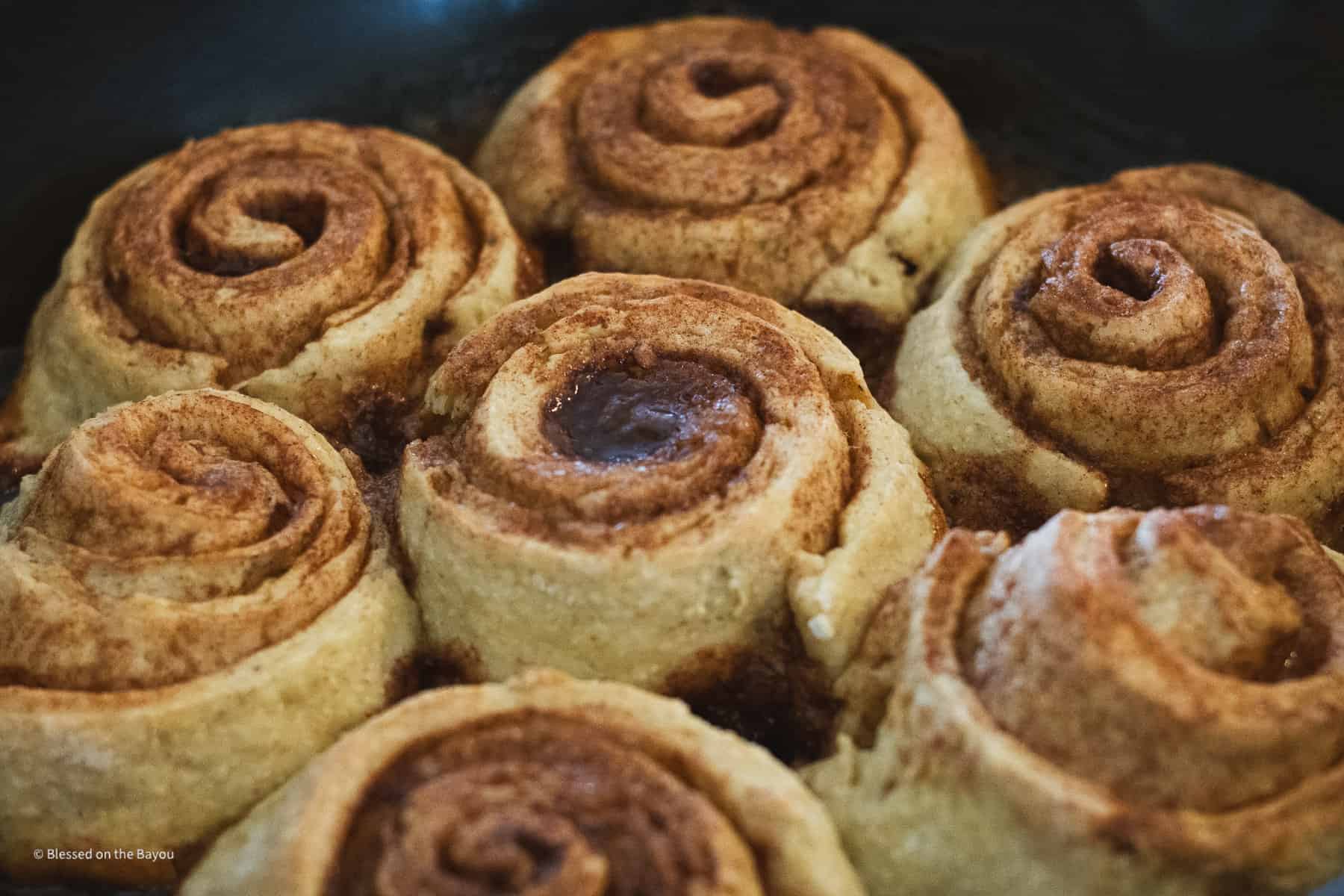 Gluten Free Cinnamon Rolls UnFrosted
