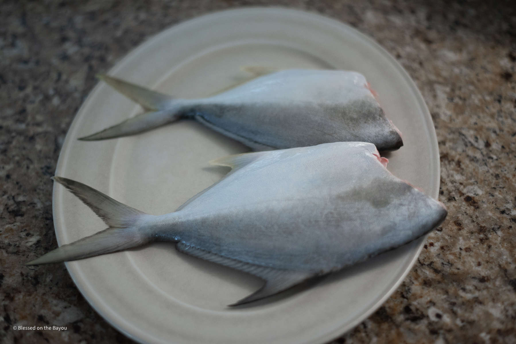 Pompano head removed ready for baking